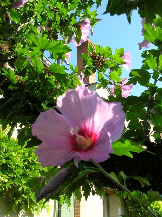 Le Petit Jardin Yoyo Monts Exterior foto